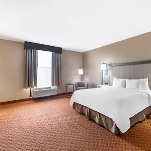 King Room Disability Access